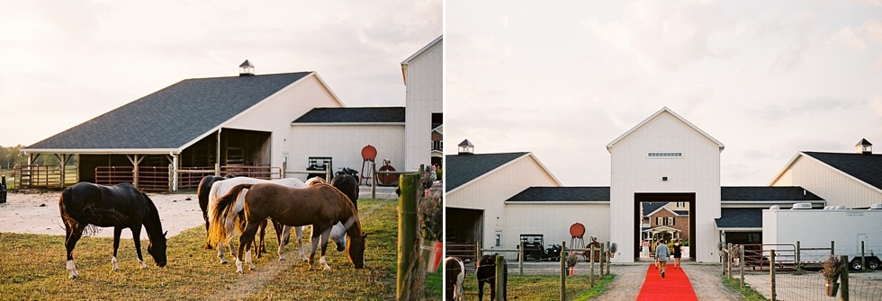 Timberlee and Brock /// You Had Me at Meat Tornado 215 TImber57